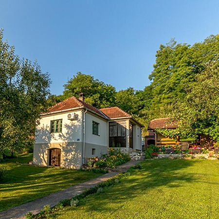 Rusticna Kuca Crvena Stena U Blizini Kucice Na Drini Bajina Basta Esterno foto